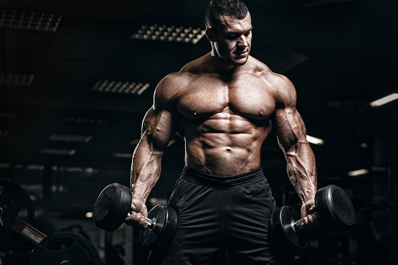 Muscle Gains