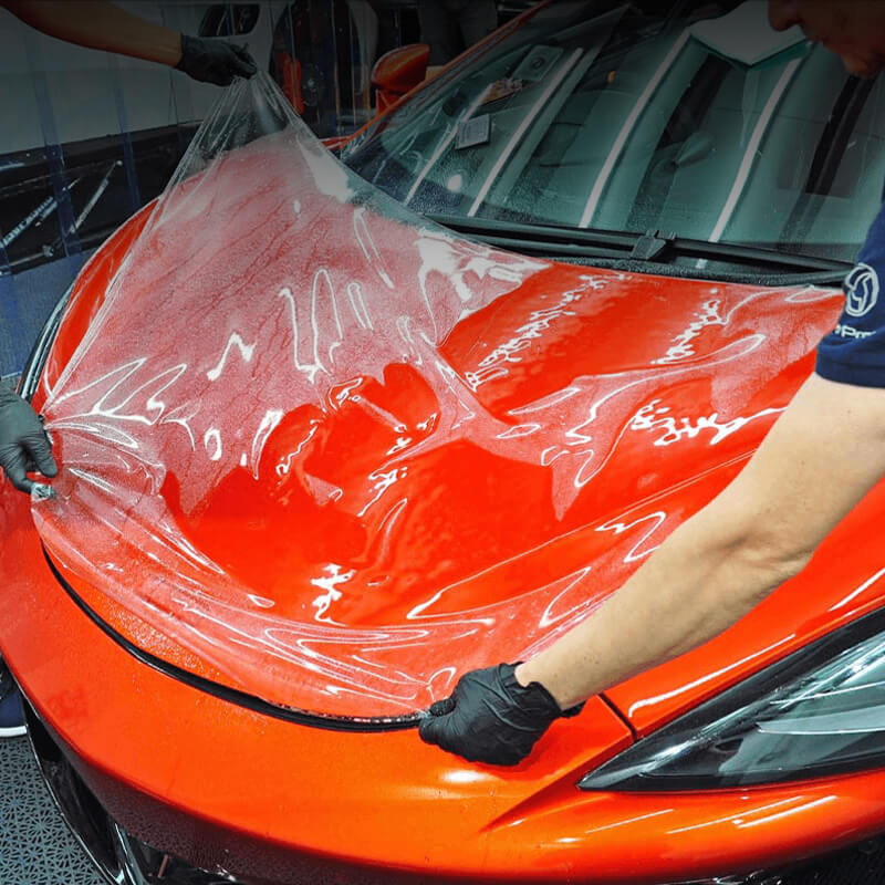 Paint Protection